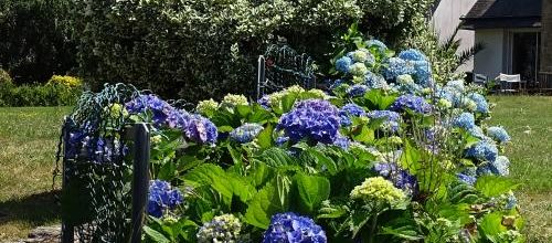 Entre terre et mer des fleurs