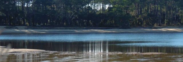 Une balade autour du Lac de VIEUX BOUCAU (40), le 18 janvier (suite)...