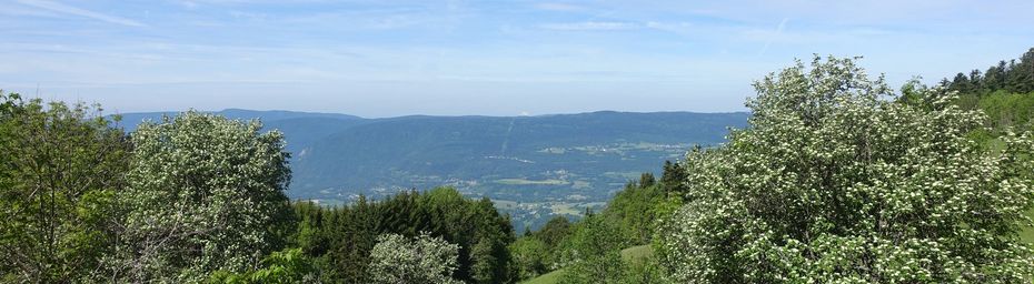 Le Grand Colombier