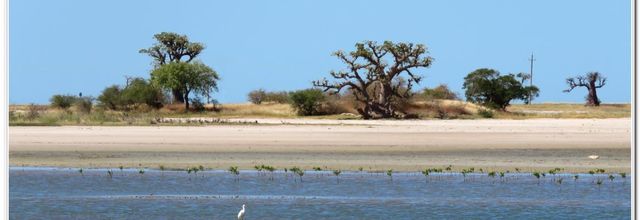 SUR  LA  ROUTE  DE  POINTE  DJIFERE