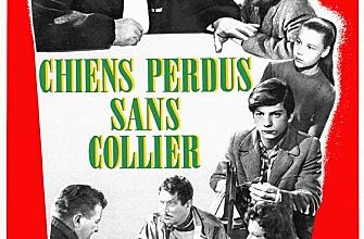 CHIENS PERDUS SANS COLLIER - BOX OFFICE JEAN GABIN 1955