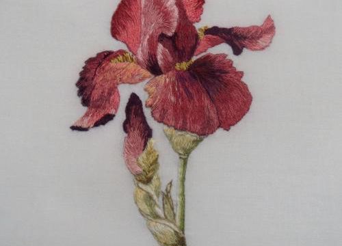 iris en peinture à l'aiguille