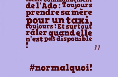 Les commandements de l'Ado (la suite...) d'après La Mère Coupable