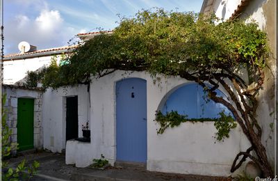 Dans les rues d'Ars en Ré (17)