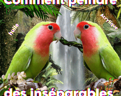 Dessin et peinture - vidéo 4200 : Comment peindre un amour "d'inséparables" ? - huile, acrylique.