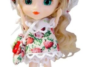 Septembre : Little Pullip Berry