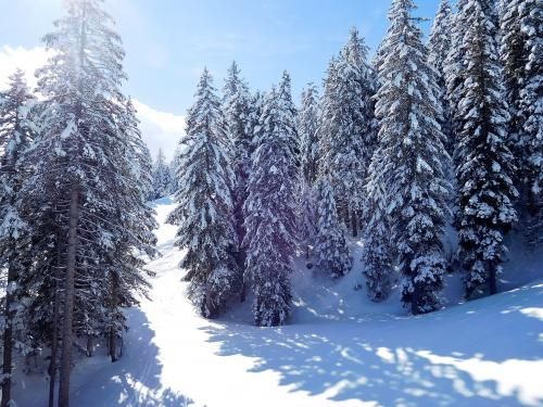 20/03/2018 Ski à La Paganella Tn Trentino Italie