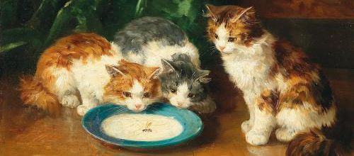 Tableau de chat : Qu'est-ce que c'est ?