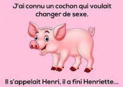 Cochonnailles.....