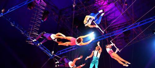 #BalanceTonCirque 