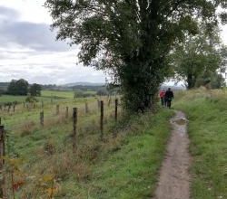 Un beau dimanche matin...