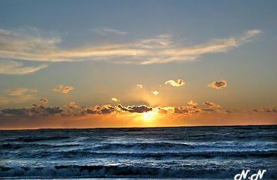 De l'or sur la mer