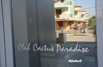 Turquie n°20 - Selçuk - Gümüldur