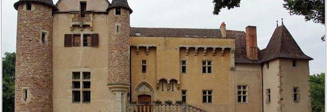 63 . Puy de Dôme - Sermentizon (1) - Château d'Aulteribe