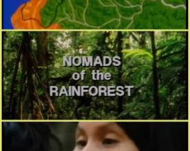 The Nomads of the Rain Forest. 1984.