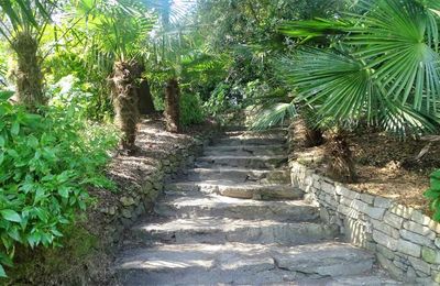 Une semaine à l'ile de Batz chez Zaza avec ma féline - Le jardin colonial - La palmeraie