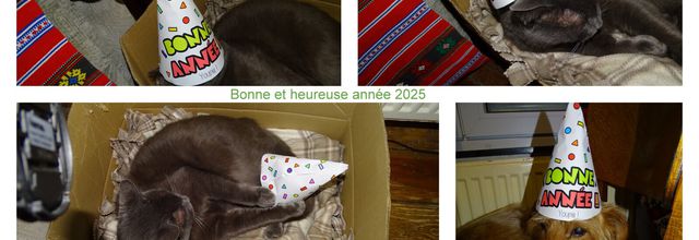 Bonne et heureuse années 2025