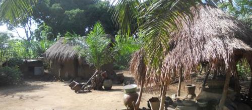 TERRAIN AGRICOLE