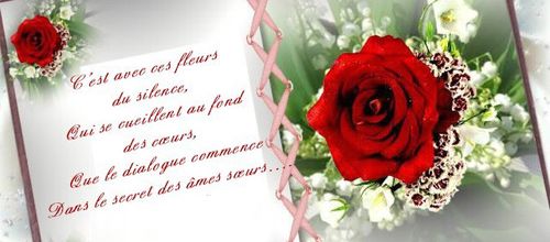 Proverbe 132