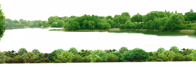 Ѽ Vegetation