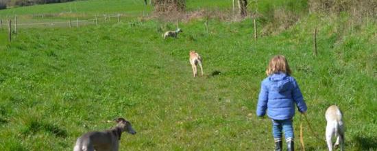 Petite promenade ... de printemps!!