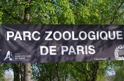 Visite au zoo de Vincennes (2)