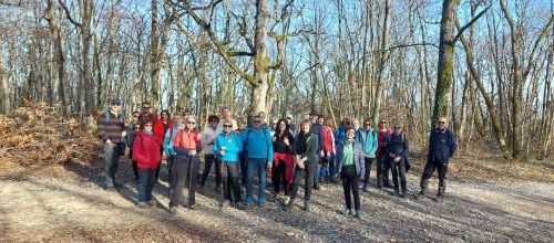 CR RANDO DES TAGS DE MONT LE VIGNOBLE DU 20/02/2023