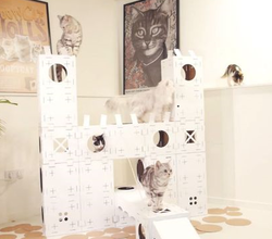 Un vrai palais pour chats