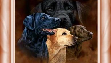 Reprise des entrainements