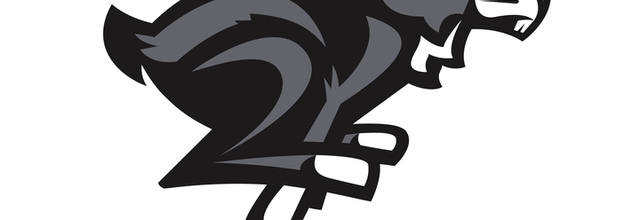 Professional basketball is coming to TD Place in Ottawa