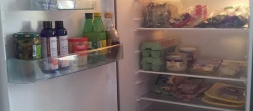 Frigo P@léo