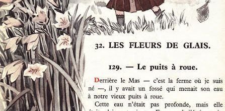 Dumas CE1 S32 Les fleurs de glais