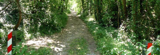 Vallées de l'Orge et de la Rémarde (4/4) : Bois du Marais et Sermaise