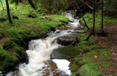 Il y a beaucoup d'eau dans le ruisseau ...