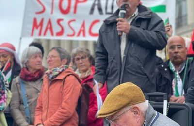 2000 au Havre en soutien à la Palestine ! 