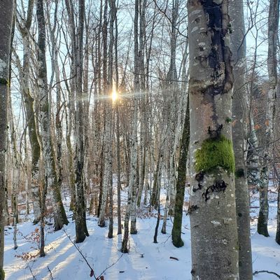 Le 16 décembre : petite balade hygiénique à Bucleloup