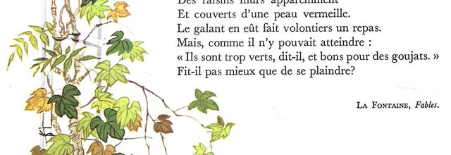 La Fontaine - Le Renard et les Raisins