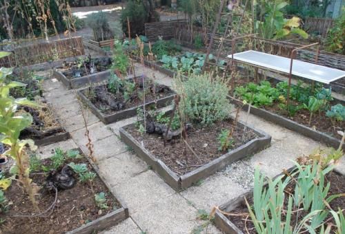 Visite au jardin de la salamandre
