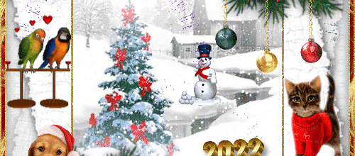 1ERE SEMAINE 2022