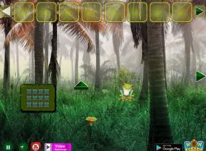 Palm forest honeybee escape soluce