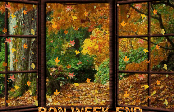BRUMES D'AUTOMNE