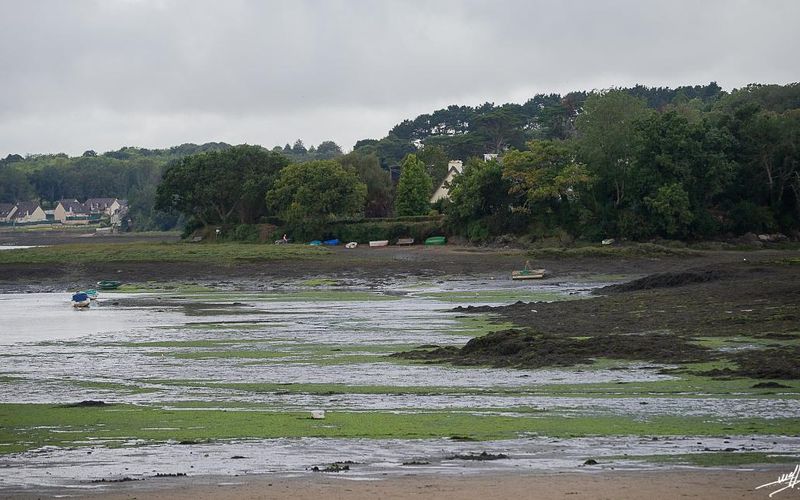 Penn ar Bed 2020 : la plage aux algues de Douvez