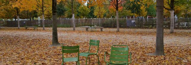 Au Jardin des Tuileries ...