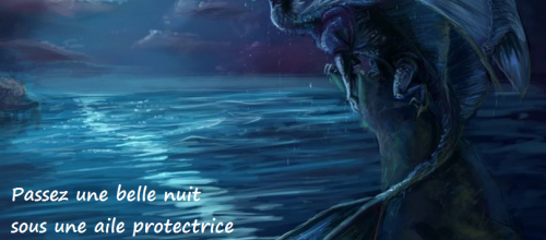 Aile nocturne