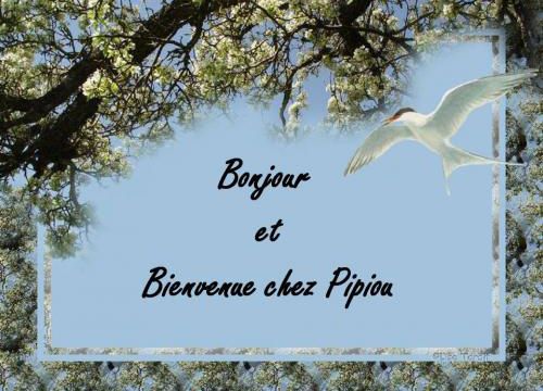 La naissance d'un cerf....