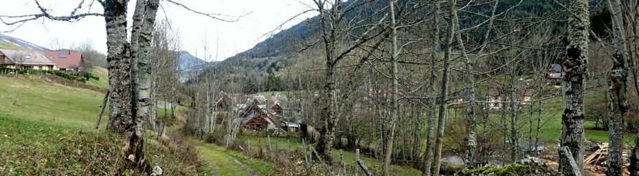 Promenade printanière d'un 31 décembre