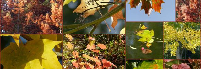 Mon week-end du 11 novembre