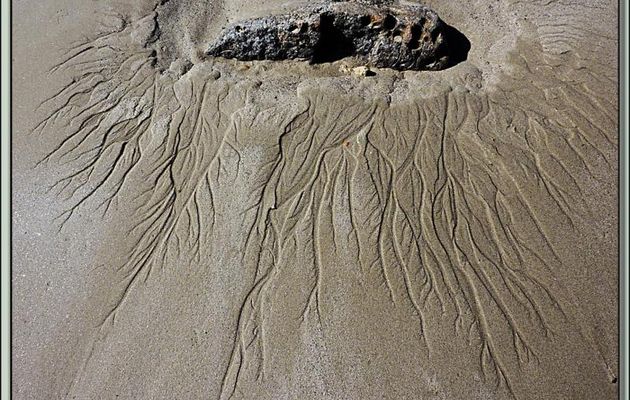 Abstraction sur sable - La Couarde-sur-Mer - Ile de Ré - 17