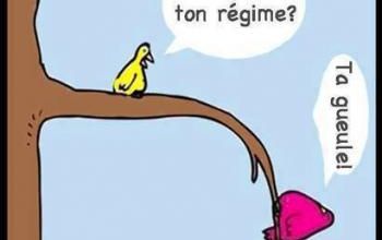 Alors ton régime ?