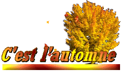 *Poésie: c'est l'automne